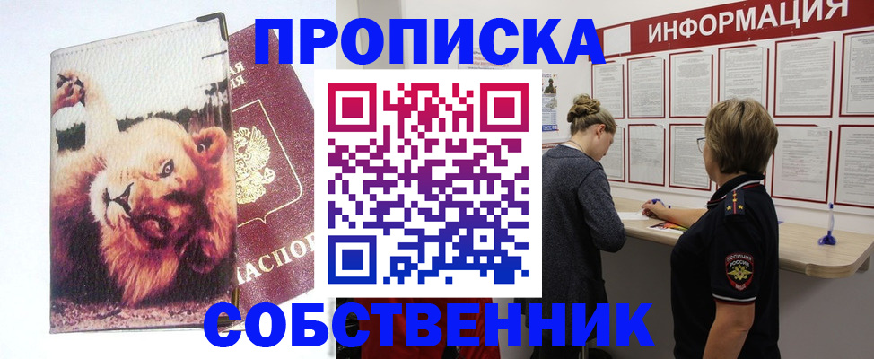временная регистрация 2025 в Ельне